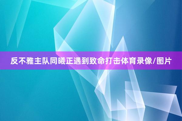 反不雅主队同曦正遇到致命打击体育录像/图片