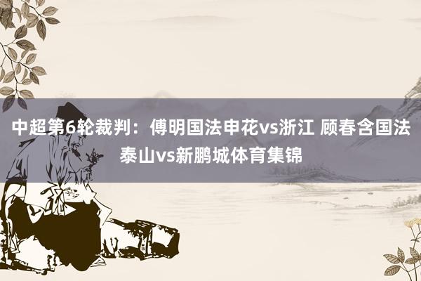 中超第6轮裁判：傅明国法申花vs浙江 顾春含国法泰山vs新鹏城体育集锦