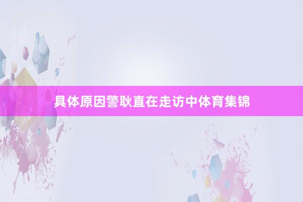 具体原因警耿直在走访中体育集锦