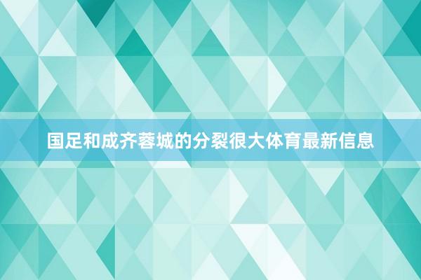 国足和成齐蓉城的分裂很大体育最新信息