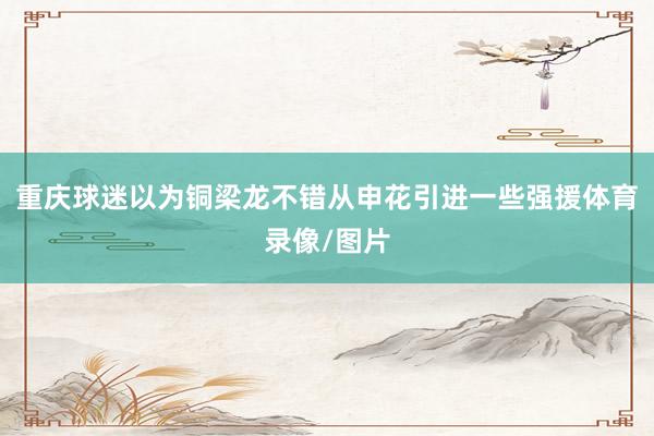 重庆球迷以为铜梁龙不错从申花引进一些强援体育录像/图片