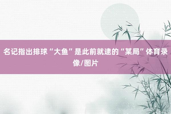名记指出排球“大鱼”是此前就逮的“某局”体育录像/图片