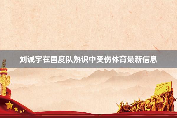 刘诚宇在国度队熟识中受伤体育最新信息