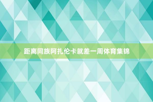 距离同族阿扎伦卡就差一周体育集锦