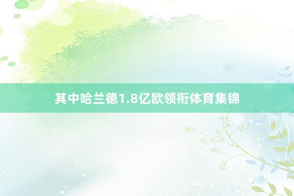 其中哈兰德1.8亿欧领衔体育集锦