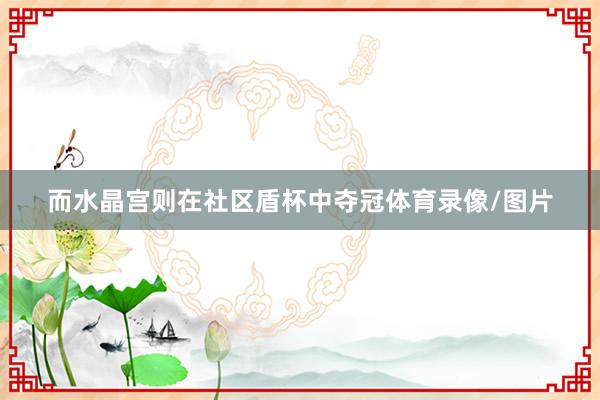 而水晶宫则在社区盾杯中夺冠体育录像/图片