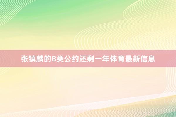 张镇麟的B类公约还剩一年体育最新信息