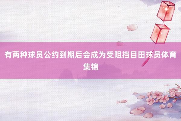 有两种球员公约到期后会成为受阻挡目田球员体育集锦