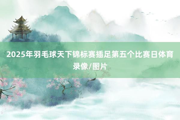 2025年羽毛球天下锦标赛插足第五个比赛日体育录像/图片