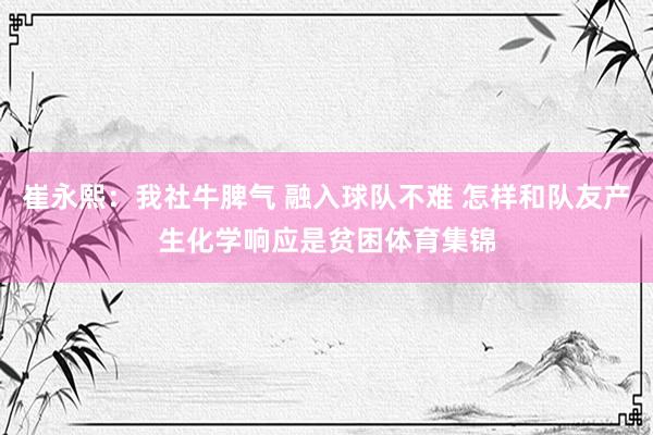 崔永熙：我社牛脾气 融入球队不难 怎样和队友产生化学响应是贫困体育集锦