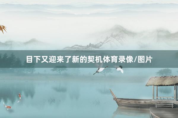 目下又迎来了新的契机体育录像/图片