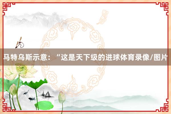 马特乌斯示意：“这是天下级的进球体育录像/图片
