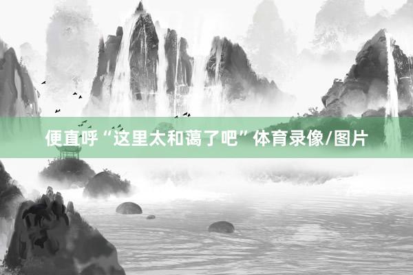 便直呼“这里太和蔼了吧”体育录像/图片