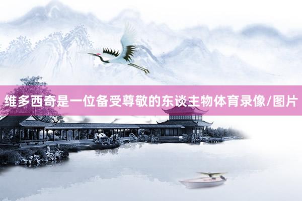 维多西奇是一位备受尊敬的东谈主物体育录像/图片