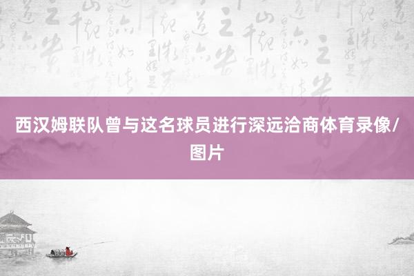 西汉姆联队曾与这名球员进行深远洽商体育录像/图片