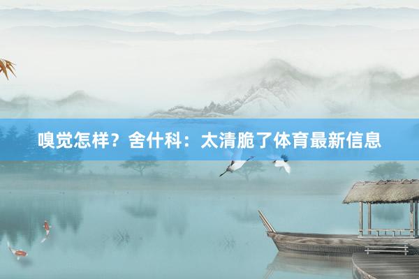 嗅觉怎样？舍什科：太清脆了体育最新信息