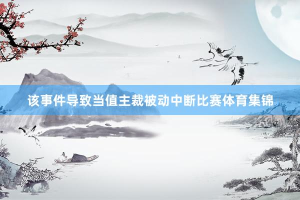 该事件导致当值主裁被动中断比赛体育集锦