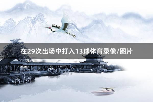 在29次出场中打入13球体育录像/图片