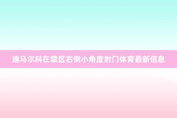 迪马尔科在禁区右侧小角度射门体育最新信息
