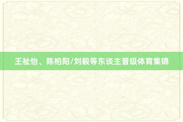 王祉怡、陈柏阳/刘毅等东谈主晋级体育集锦