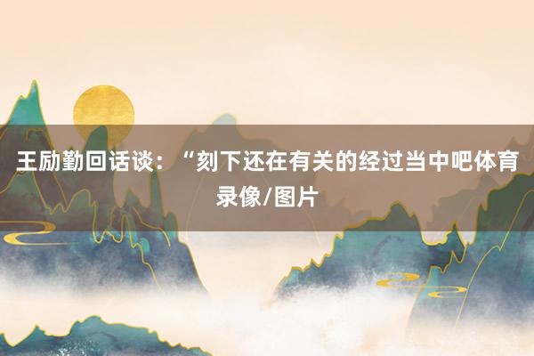 王励勤回话谈：“刻下还在有关的经过当中吧体育录像/图片