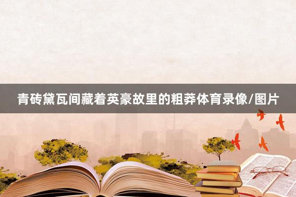 青砖黛瓦间藏着英豪故里的粗莽体育录像/图片