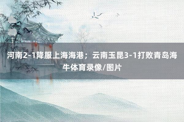 河南2-1降服上海海港；云南玉昆3-1打败青岛海牛体育录像/图片