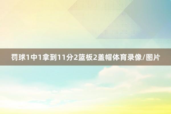 罚球1中1拿到11分2篮板2盖帽体育录像/图片