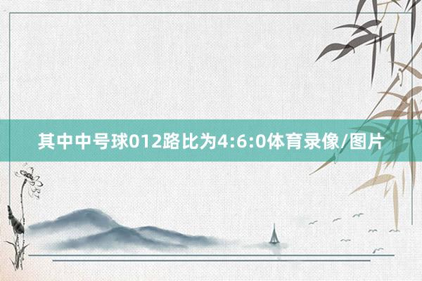 其中中号球012路比为4:6:0体育录像/图片