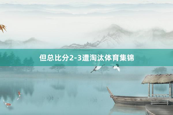 但总比分2-3遭淘汰体育集锦