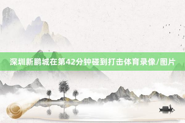 深圳新鹏城在第42分钟碰到打击体育录像/图片