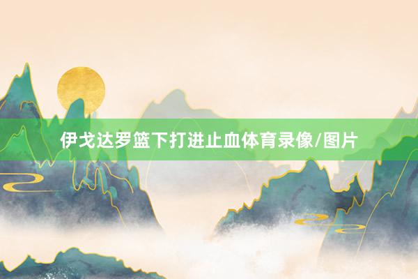 伊戈达罗篮下打进止血体育录像/图片
